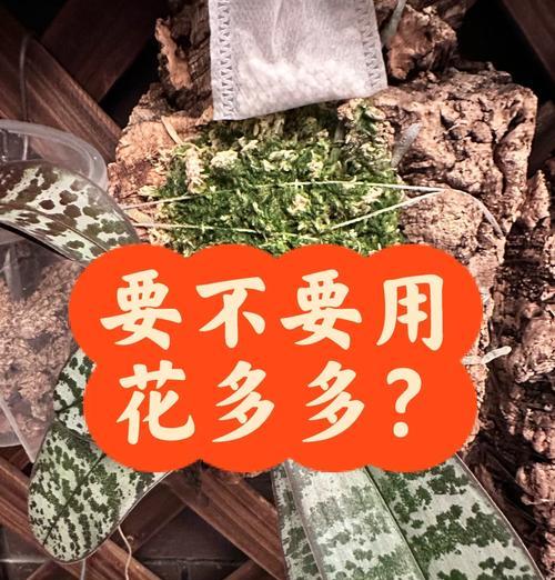 蝴蝶兰的施肥方法和注意事项是什么？