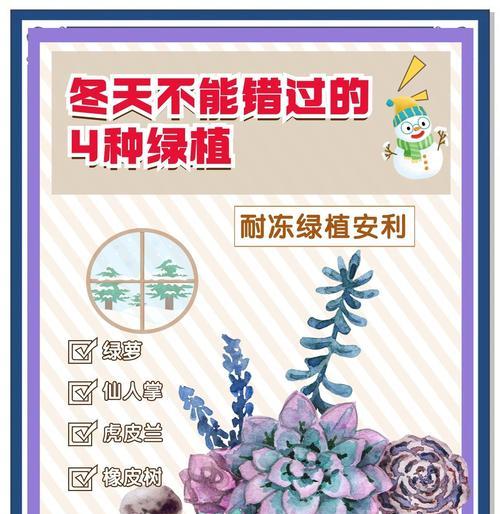 盆栽植物冬季如何安全过冬？