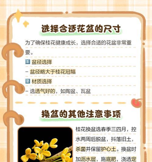 桂花换盆的最佳时期和步骤是什么？
