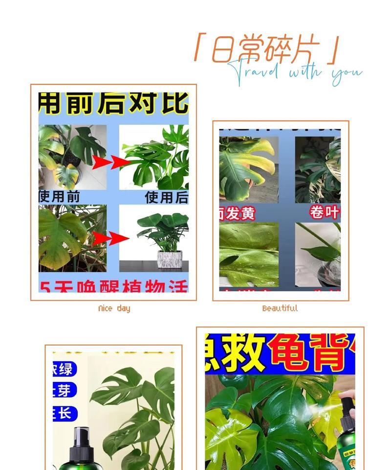 水培植物需要哪些肥料？