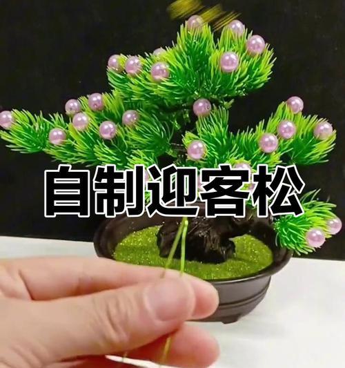 盆景制作方法有哪些？如何制作出美观的盆景？