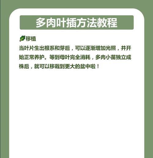 冬季叶插的成功秘诀是什么？如何在冬天进行叶插？