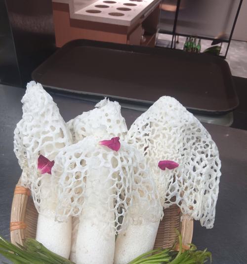 竹花的形态和特点是什么？竹花在植物学中属于哪一类？
