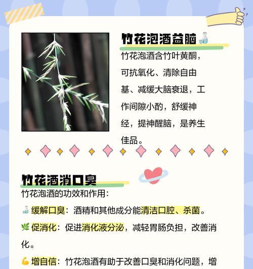 竹花的形态和特点是什么？竹花在植物学中属于哪一类？