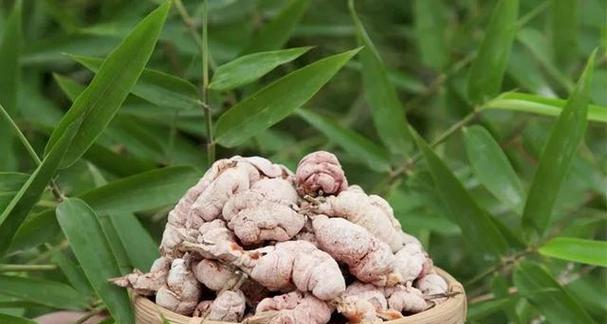 竹花的形态和特点是什么？竹花在植物学中属于哪一类？