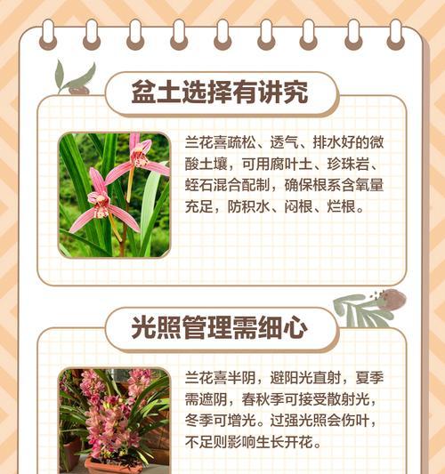 兰花用什么土栽培？兰花的栽培土壤选择和养护要点是什么？